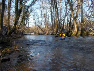 Cadre forestier en début de parcours.